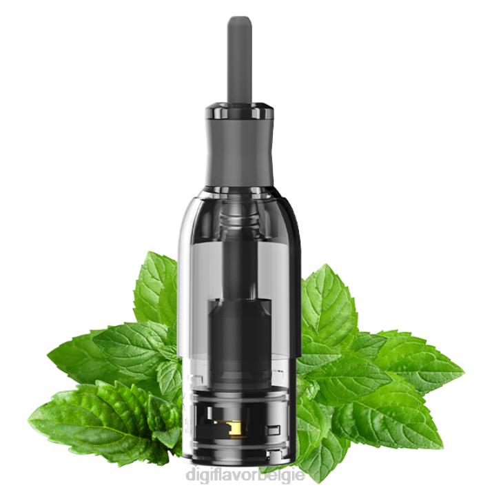 Digiflavor Vape for Sale - B6T236 Digiflavor M1 tank munt